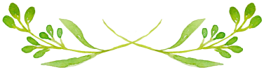 img_1.png